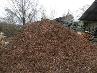 Rindenmulch